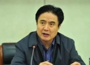 长期与政治骗子不正当交往，海南省委原书记罗保铭被决定逮捕