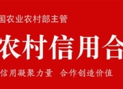 “金融助力乡村振兴看山西”系列报道之十四：泽州农商银行聚焦金融“五篇大文章” 助力乡村振兴大发展