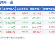 股票行情快报：新大陆（000997）3月25日主力资金净买入5316.78万元