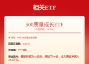 赛轮轮胎: 赛轮轮胎关于提供担保的进展公告内容摘要