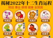 今日生肖猪运势具体解析（4月3日）：掌握今日运势走向，轻松度过美好的一天