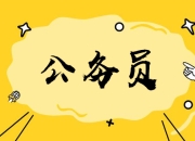 公务员晋升秘笈：掌握方掌法则，在体制内如鱼得水的黄金比例中脱颖而出！