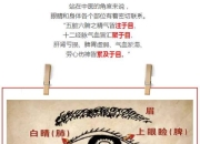 你的五脏六腑健康状况，究竟如何？三甲医师的脏器自查法带你找到答案！