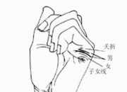 从狼孩掌纹看人类进化：野性环境对人类生物学特征的深远影响