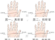 从断掌看武则天：女性崛起与权力之路的手相解读
