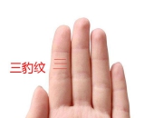从掌心横纹看人生迁徙：揭开你潜在的地理、职业或情感迁移，未来走向何方？
