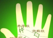 从手相到成功：7个逆天案例告诉你，如何利用手相的力量，改写命运！