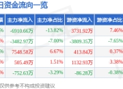 九号公司（689009）5月7日主力资金净卖出6910.66万元