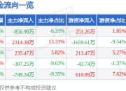 金宏气体（688106）5月7日主力资金净卖出856.90万元