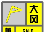 大风黄色预警！云雨区逼近上海，下班时段风雨攻势猛