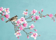 6月24日生肖兔运势：稳健理财，收获时节