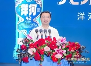 洋河股份股价长期阴跌不能全怪张联东