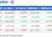 浙江东日（600113）7月2日主力资金净买入6524.02万元