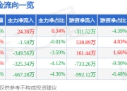 股票行情快报：大中矿业（001203）7月4日主力资金净买入24.30万元