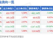 股票行情快报：瑜欣电子（301107）7月4日主力资金净买入432.75万元