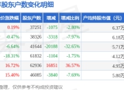 *ST智胜(002253)7月10日股东户数3.73万户，较上期减少2.8%
