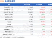 同兴科技（003027）2025年中报简析：营收净利润同比双双增长，盈利能力上升