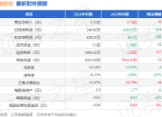 中路股份（600818）2025年中报简析：增收不增利
