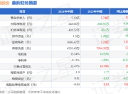 中路股份（600818）2025年中报简析：增收不增利