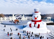 财经观察：“小雪花”释放大潜力 冰雪市场“热力全开”