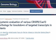 我国科研团队开发出CRISPR/Cas13基因编辑新工具