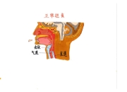 科普｜吞咽障碍不慌张 日常饮食有妙招